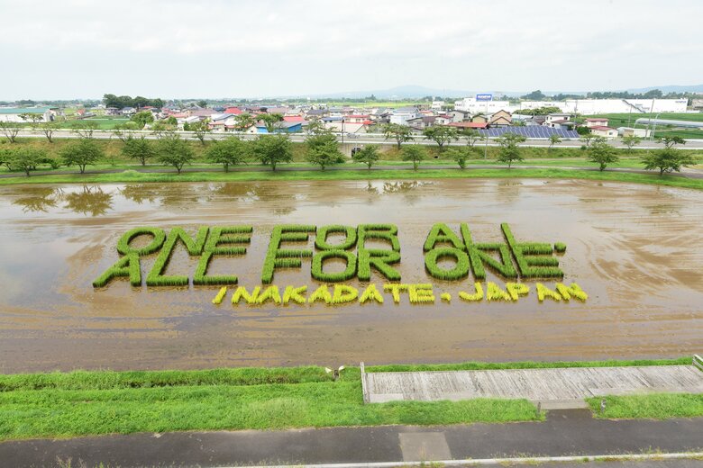 コロナ禍により展望所は閉鎖に。村人で作った令和3年の第2田んぼアート作品　稲文字「ONE FOR ALL, ALL FOR ONE」