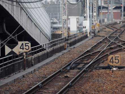 （Photography by Tucchy Tsutsumida）