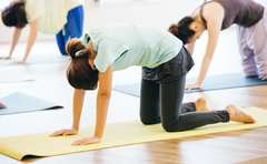 背中を丸めると痩せやすくなる!?「運動嫌いだから、そういうのがいい!!」