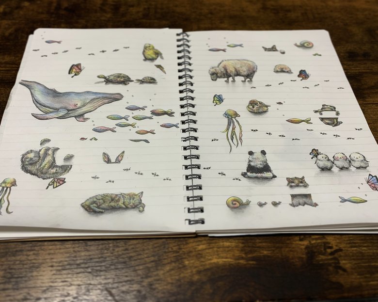 幻想的な色使いのイラストも