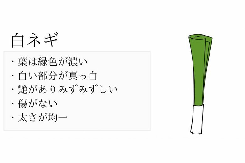 おいしい白ネギの見分け方
