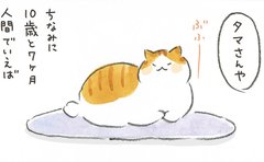 『まめねこ』『ねことじいちゃん』の人気漫画家・ねこまきが「猫ばかりを描き続ける理由」