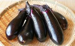 相葉雅紀さん絶賛のなす料理「え、塩で揉んだだけで!?」