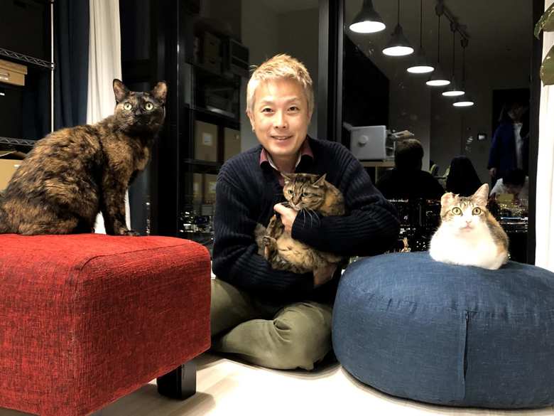 代表取締役の福田さんは3匹の猫を飼っていて、3匹とともに出社している。写真の猫は、左から「V」、「昆布巻き」、「うめ」。