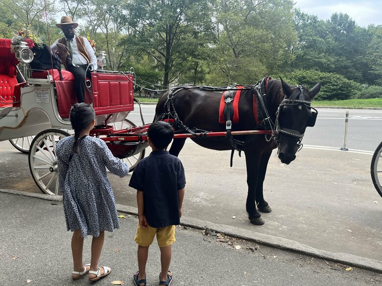 セントラルパークでは観光用の馬車にも