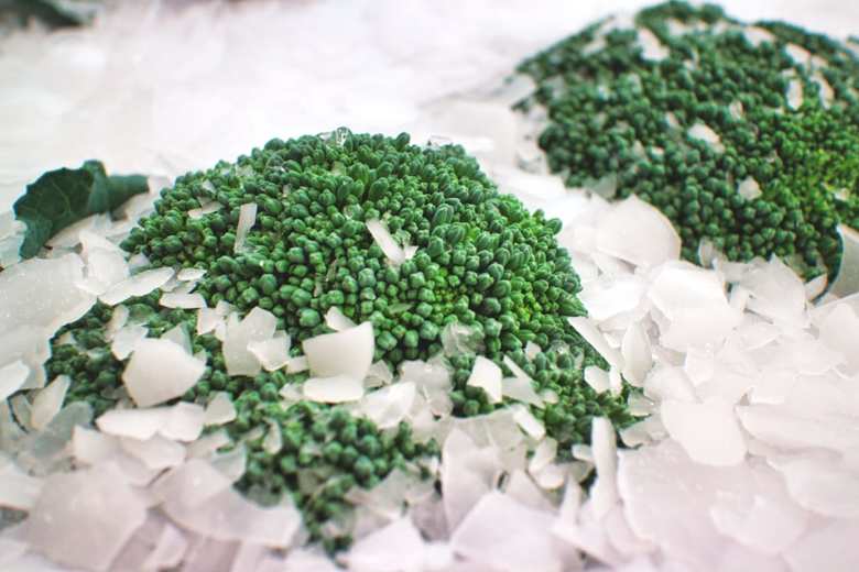 安井ファームでは鮮度を保つために、氷詰めにしたブロッコリーを出荷している