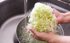 芯まで美味しい「春キャベツの大量消費レシピ」