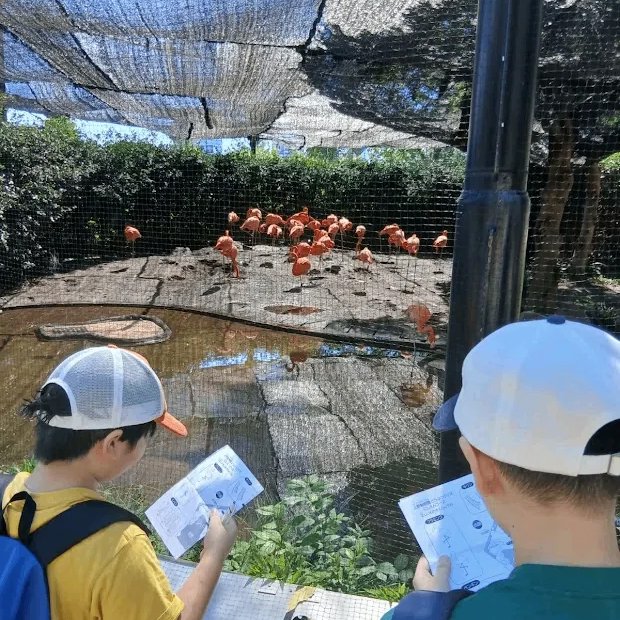 動物園などの施設に行くことも