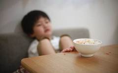 なぜか子供が白米を食べない！？時期別の食べない理由と対策