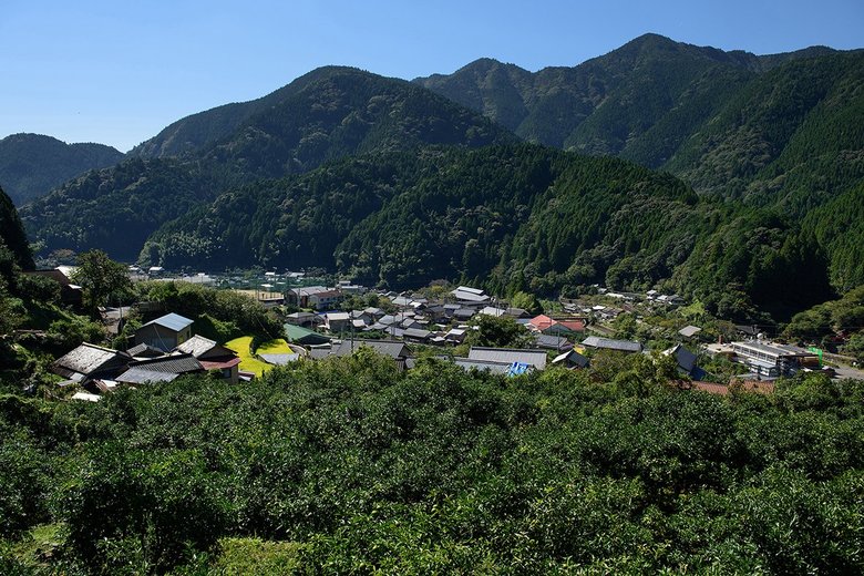 馬路村