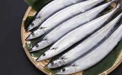 サンマやコンブが記録的不漁に！食卓から魚が消える可能性とその理由