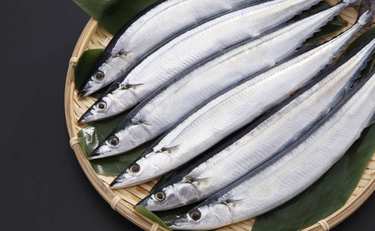 サンマやコンブが記録的不漁に！食卓から魚が消える可能性とその理由