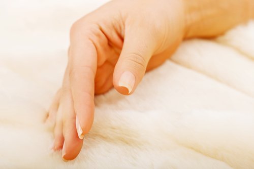 shutterstock_373535800