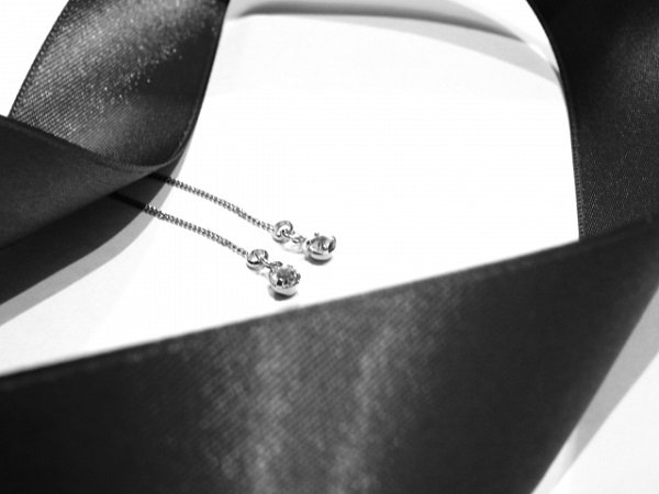 アメリカンピアスの画像