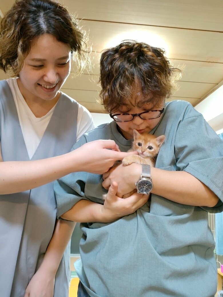 最近飼い始めた愛猫ソラくん「猫がいる生活はふたりの時間をさらに豊かに」