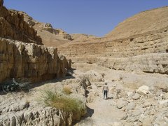 イスラエル駐在で気づいた50代女性の生き方「紛争地域の共存を目指したい」