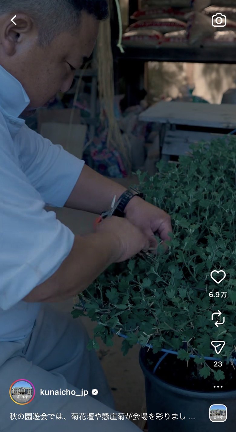 「皇室に興味を持っていただく契機になれば」（宮内庁広報室）と、園遊会で使われる菊ができるまでなどについても発信しているそう