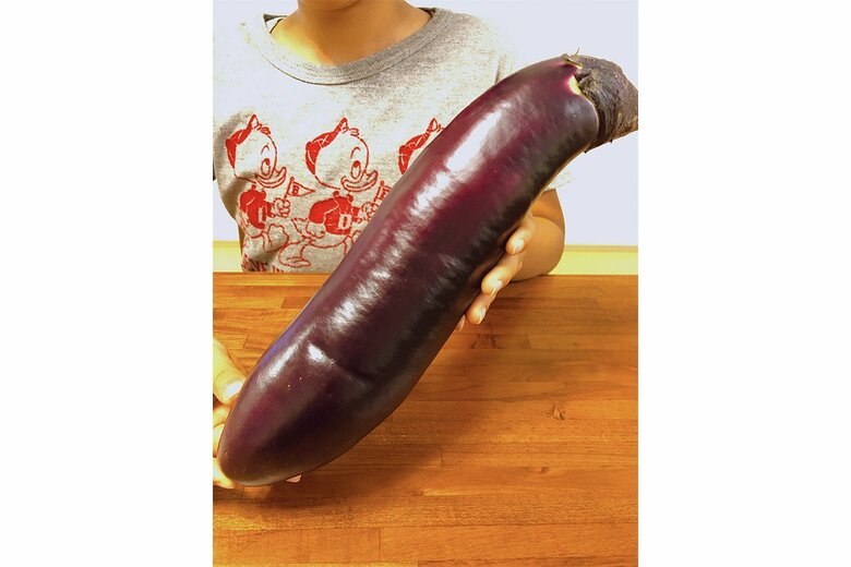 山口の伝統野菜「萩たまげなす」