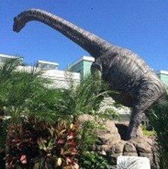 田舎移住生活を体験してみると、住めば都は本当でした