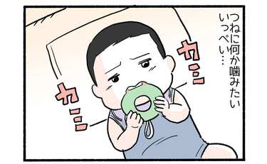 噛み癖からの…２「保育園は食うか、食われるか」