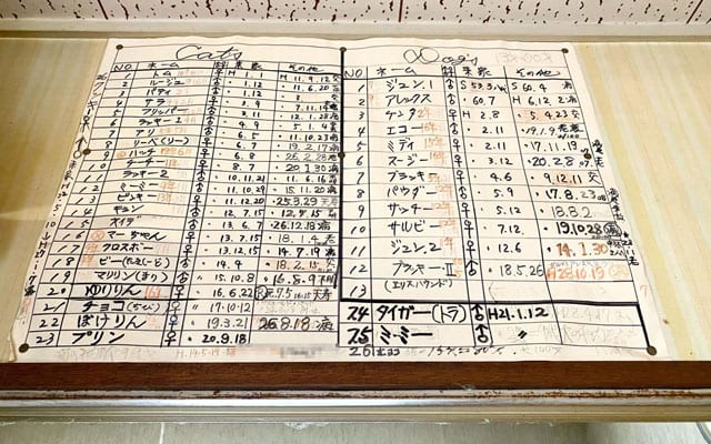 父が残した飼っていた犬と猫の記録。
