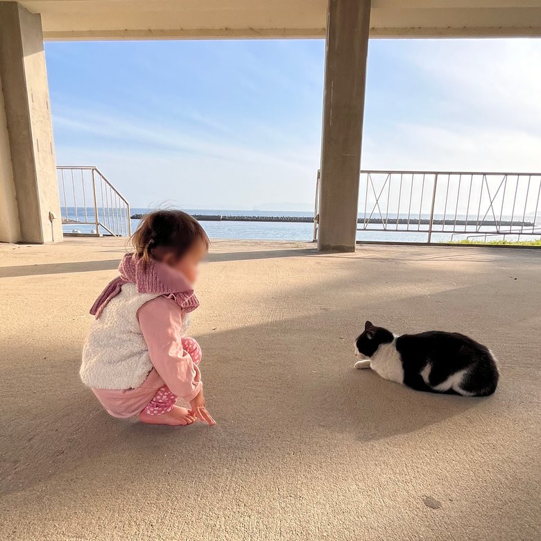 むいちゃん、猫に興味津々です