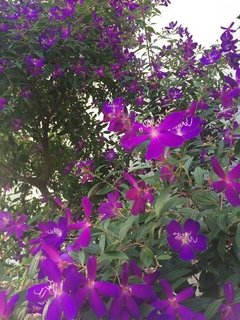 幼稚園ママから卒業します