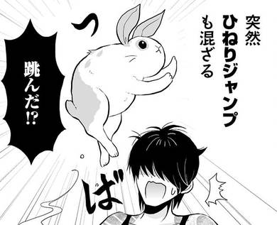 漫画『ウサゴク』作者が描く、かわいいだけじゃないウサギの現実
