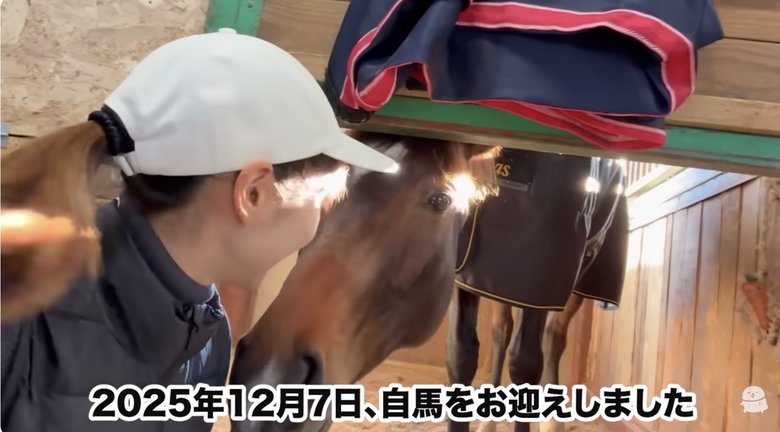お迎えしたメスの白馬