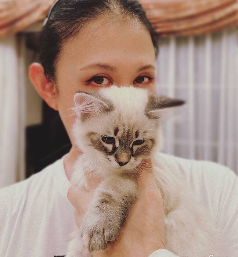 猫2匹を飼う高嶺さん