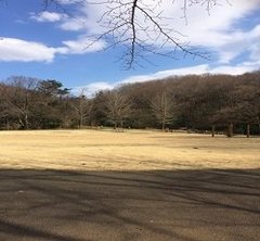 ジブリ映画「耳をすませば」の舞台！多摩市にある【都立桜ヶ丘公園】へ遊びに行こう！