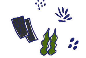 スクリーンショット 2016-07-29 11.23.16