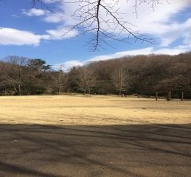 ジブリ映画「耳をすませば」の舞台！多摩市にある【都立桜ヶ丘公園】へ遊びに行こう！