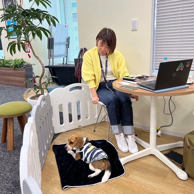 ペットのそばで仕事をする従業員