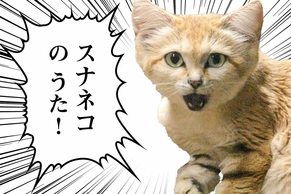 那須どうぶつ王国「スナネコのうた」が1か月で100万回再生「ナナナナ