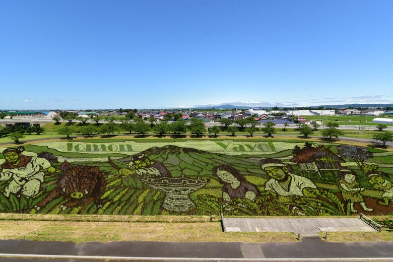 まもなく見頃を迎える作品「縄文から弥生へ」