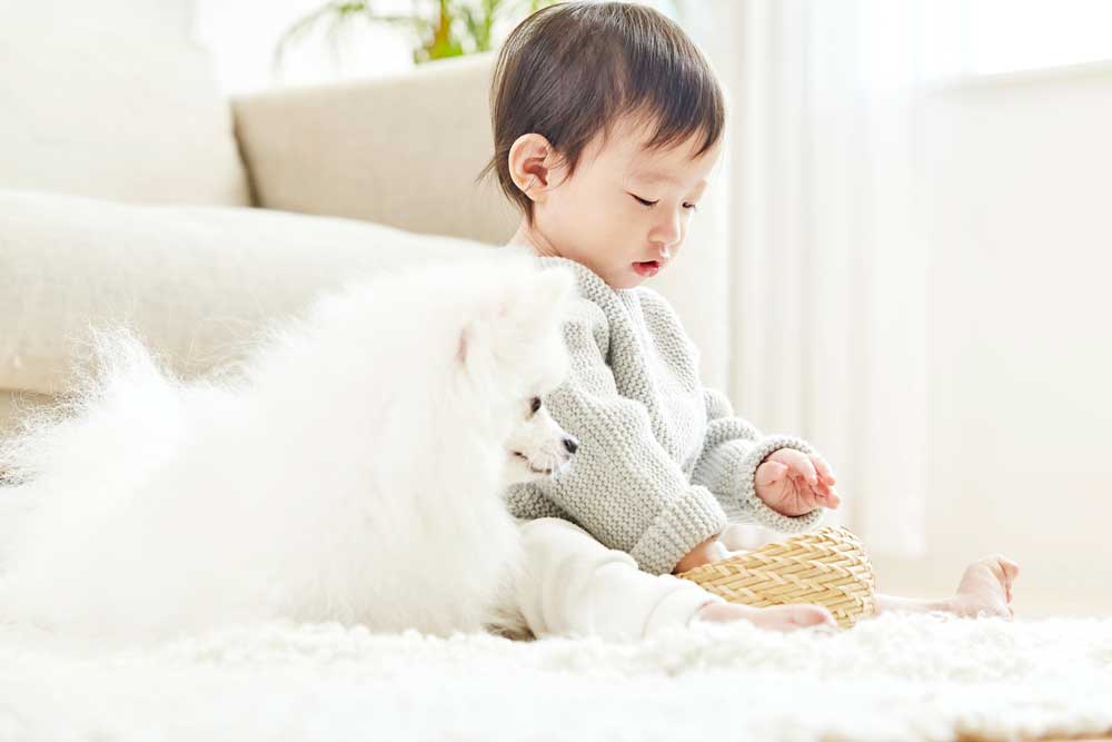 子供とペット
