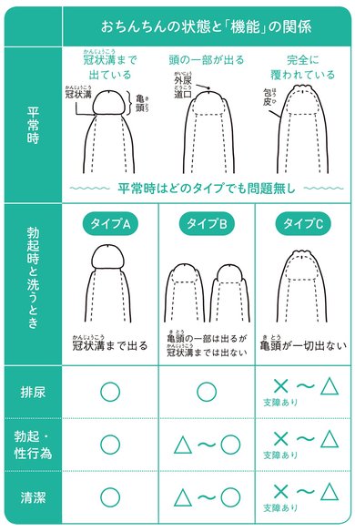  小学生 おちんちん 皮を剥くってどこまで？」男児のむく・むかない問題の曖昧さ【医師に聞く】｜CHANTO WEB