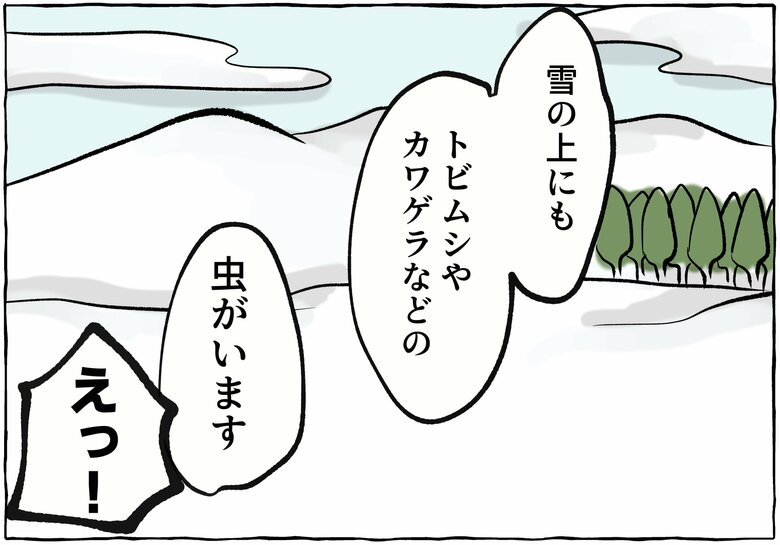 漫画「田舎に来て『何もないね』と言う都会の人に思うこと」P9