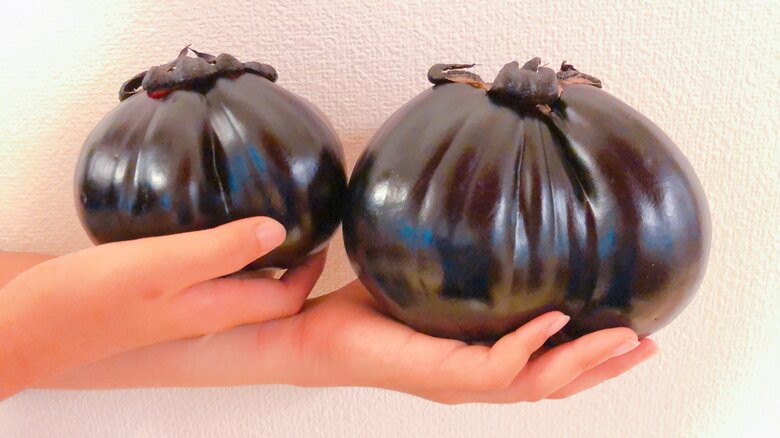 香川県の「三豊なす」