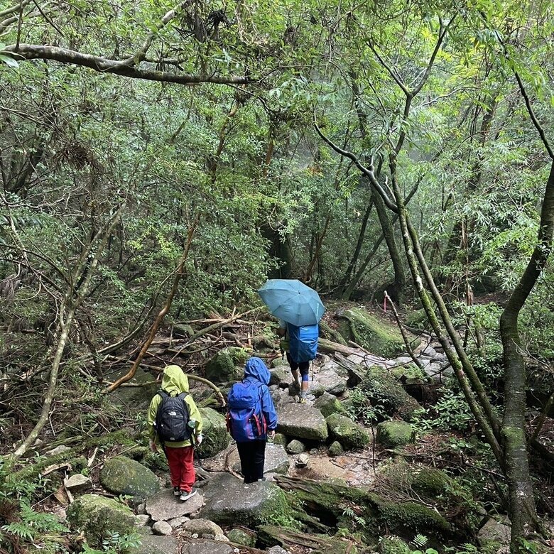 雨の中でも子どもたちも荷物を背負い登山