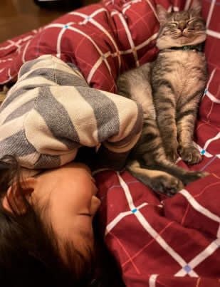 保護猫のニョッキと