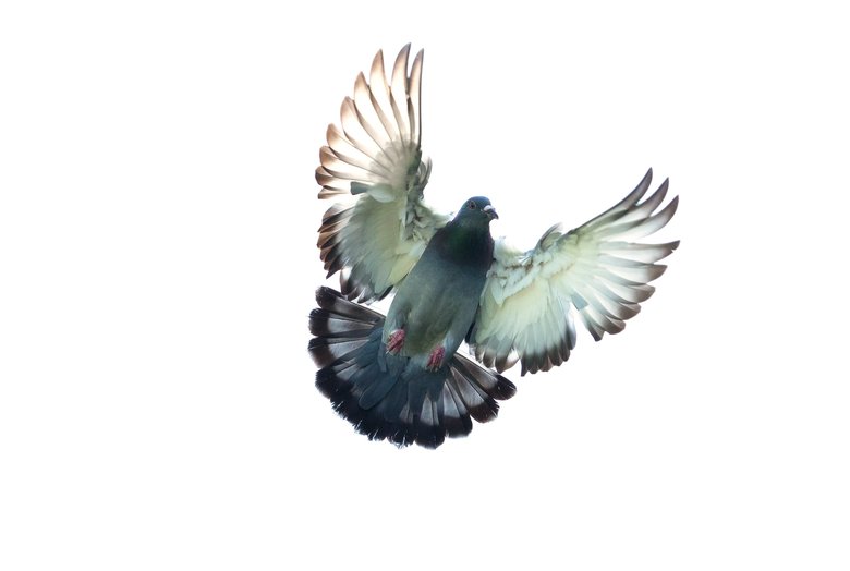 iStock.com/suriya silsaksom