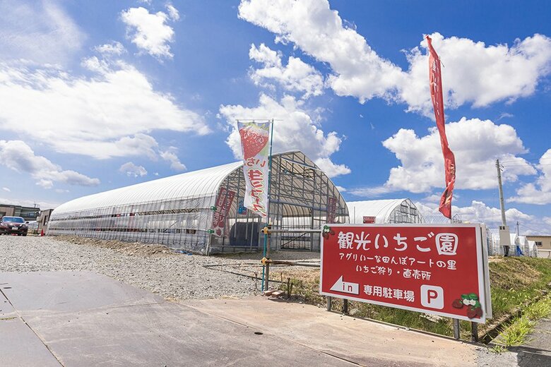 通年を通していちご狩りが楽しめる「観光いちご園アグリいーな田んぼアートの里」