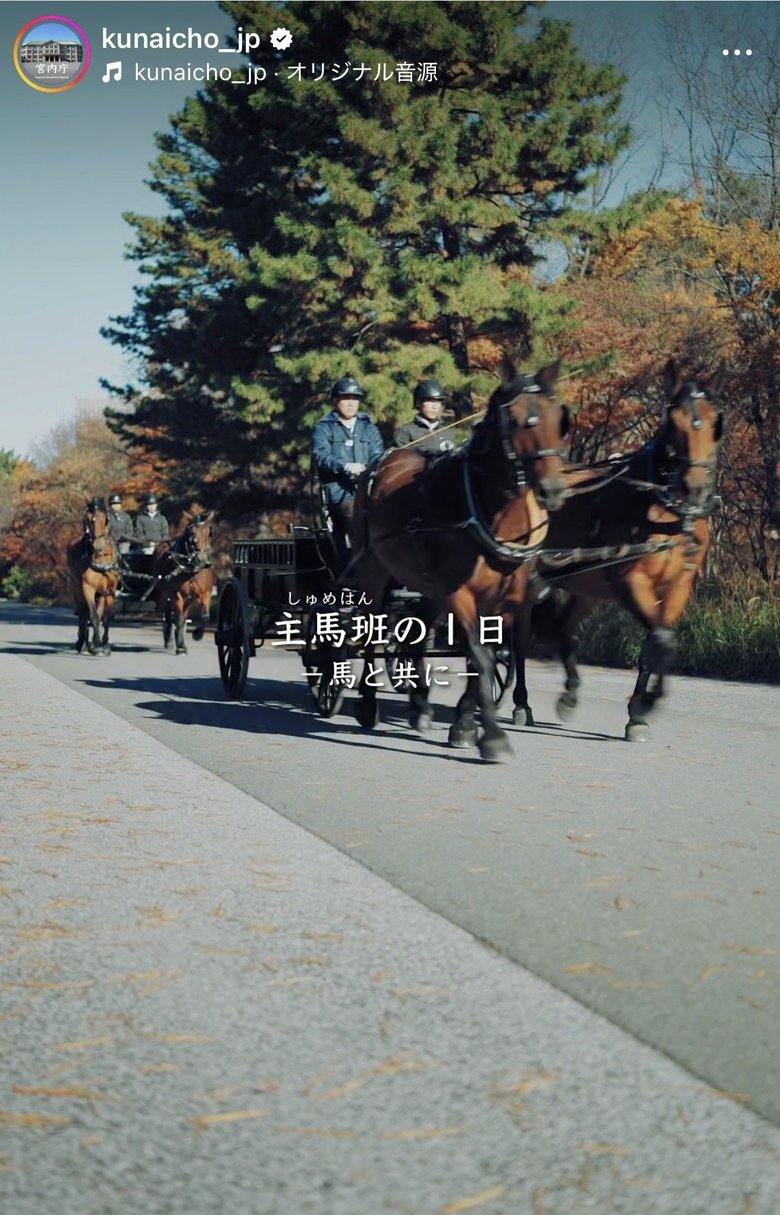 宮内庁車馬課主馬班（しゅめはん）が皇居内にある厩舎で馬の飼育・調教を行う様子も動画で見ることができる