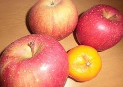 意外と手軽！ふるさと納税で食費節約