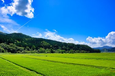 ”帰らない派”が３割も!? コンパクト化する働くママの帰省事情に迫る