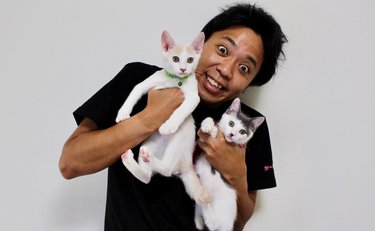「糞尿であふれ、強烈なニオイも」猫の多頭飼育崩壊を知ったサンシャイン池崎「かわいそう」の善意が招く厳しい現実