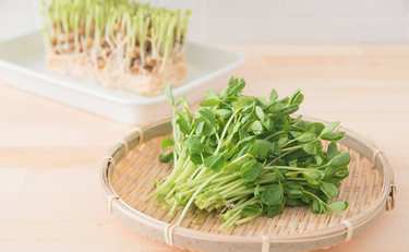実は使い勝手のいい野菜「豆苗」の本当に美味しい炒め物