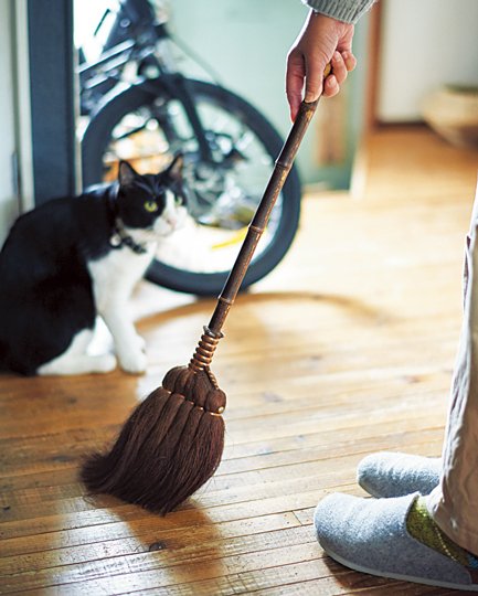 DMA-石井さめE_DSC5752